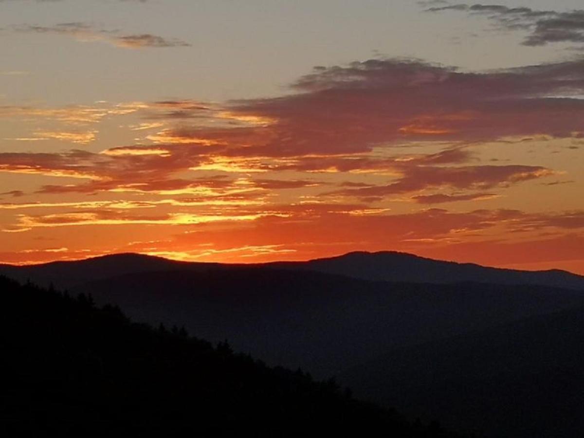 Ferienland Sonnenwald Fewo 46 Und Studio 50 In Schoefweg Bayerischer Wald Exteriör bild