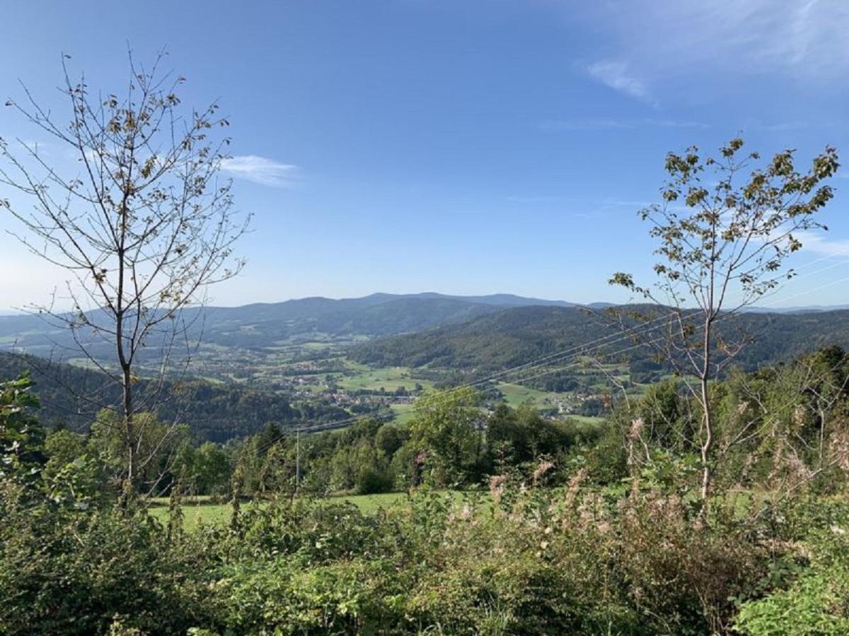 Ferienland Sonnenwald Fewo 46 Und Studio 50 In Schoefweg Bayerischer Wald Exteriör bild