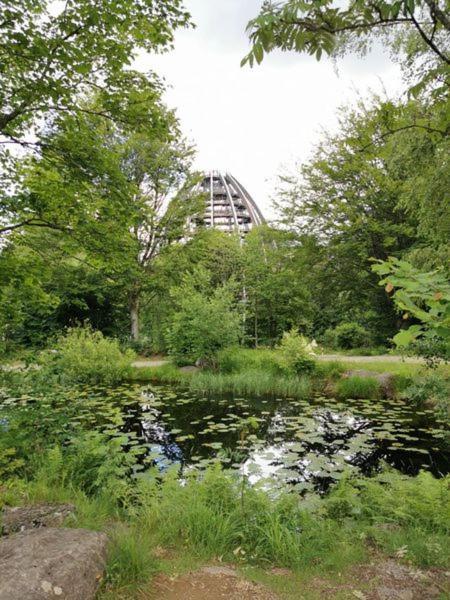 Ferienland Sonnenwald Fewo 46 Und Studio 50 In Schoefweg Bayerischer Wald Exteriör bild