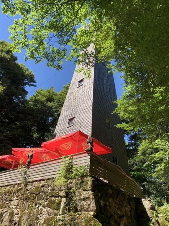 Ferienland Sonnenwald Fewo 46 Und Studio 50 In Schoefweg Bayerischer Wald Exteriör bild