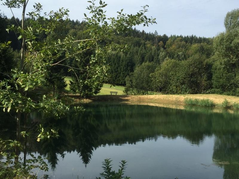Ferienland Sonnenwald Fewo 46 Und Studio 50 In Schoefweg Bayerischer Wald Exteriör bild