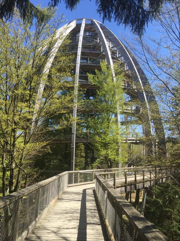 Ferienland Sonnenwald Fewo 46 Und Studio 50 In Schoefweg Bayerischer Wald Exteriör bild